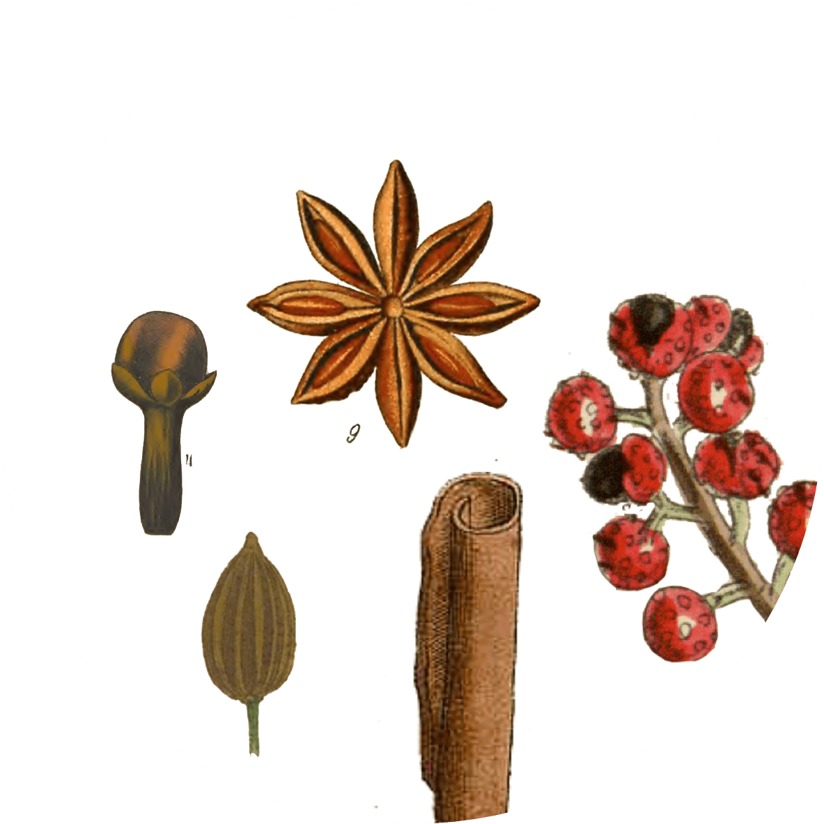 Image for chinese-five-spice