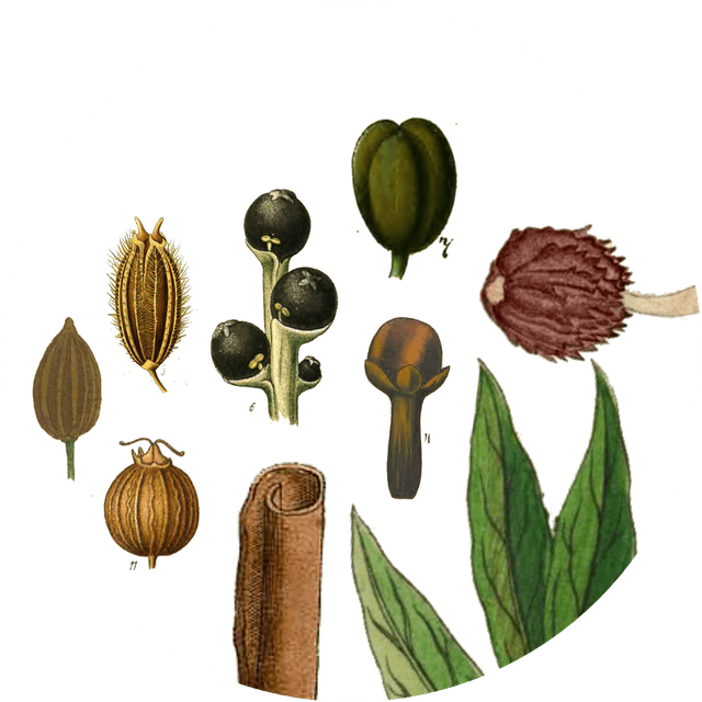 Image for garam-masala