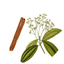 ground-cassia-cinnamon