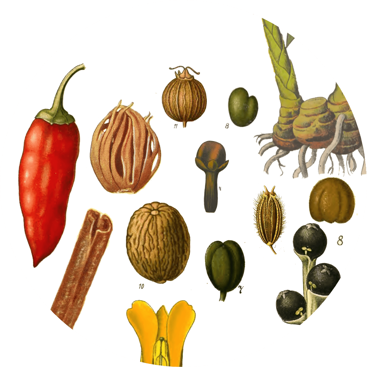 Image for ras-el-hanout