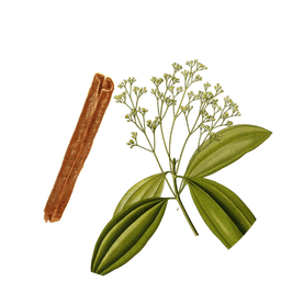 Cassia cinnamon