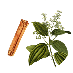 Ceylon cinnamon