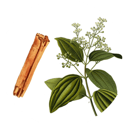 Ground ceylon cinnamon