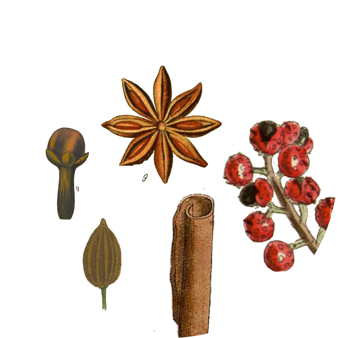 Image for chinese-five-spice